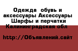 Одежда, обувь и аксессуары Аксессуары - Шарфы и перчатки. Калининградская обл.